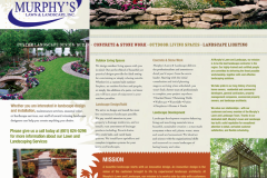 murphys_lawn_inside_20090317_1236068359